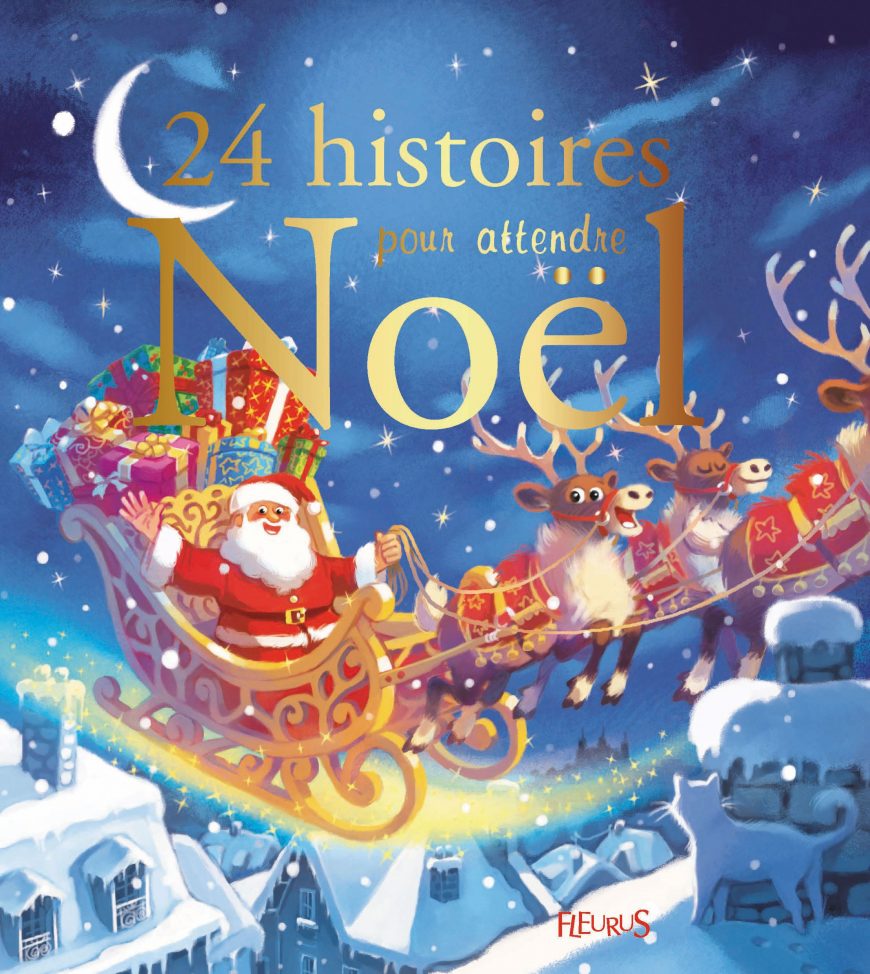 24 Histoires Pour Attendre Noël Livre Enfant